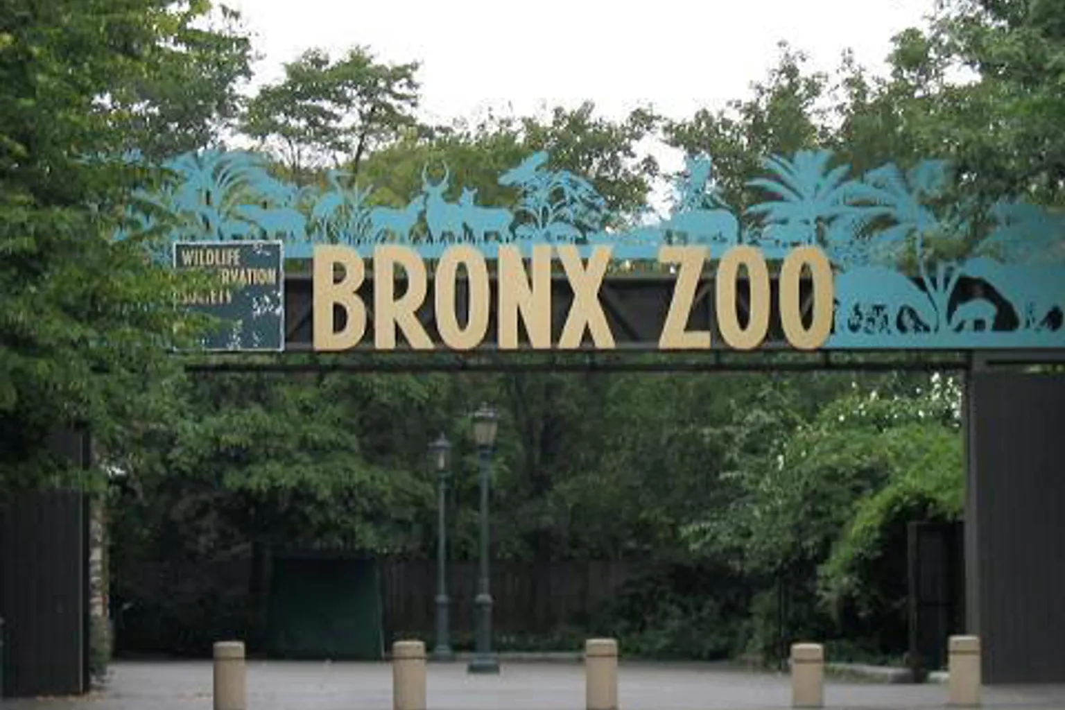 Bronx Zoo tickets: a pre-shoot checklist for creators