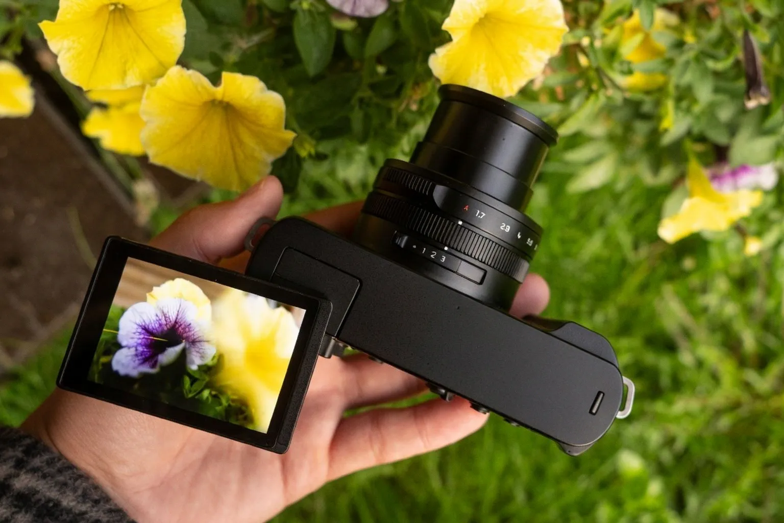 Panasonic Lumix L10: A Versatile Compact Solution for Hospitality Content Teams