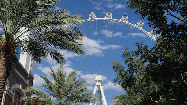 The LINQ High Roller